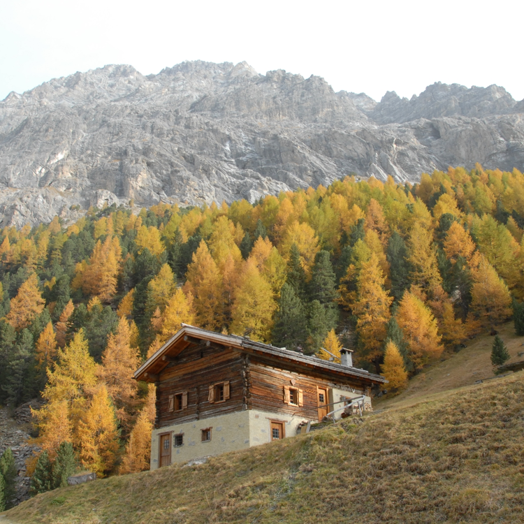 Valfurva Baita Pramighen Ph. Parco Nazionale Dello Stelvio (1)