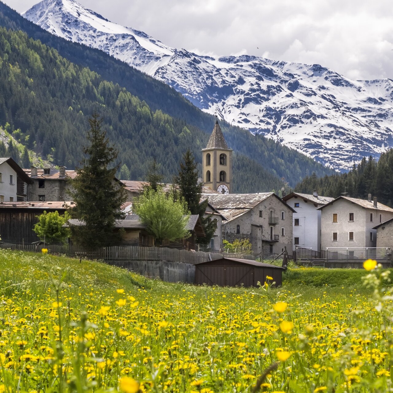 Valfurva Paesaggi Estate Ph. Fausto Compagnoni (5)