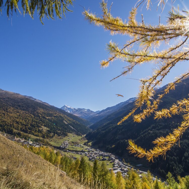 Valfurva Paesaggi Autunno Ph. Stefy Toniatti (2)