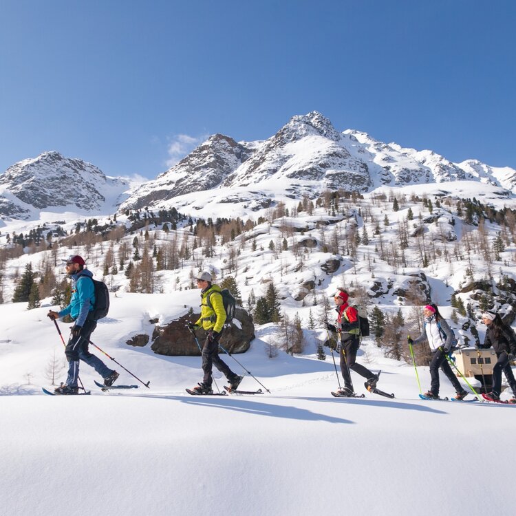 Ciaspole Valfurva Forni Rifugio Branca GM 21 6280