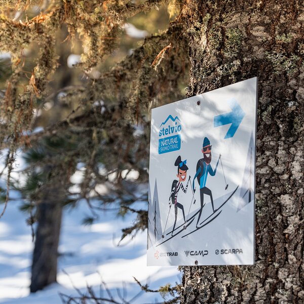 Skimo Trail Oga Gm 26 08321