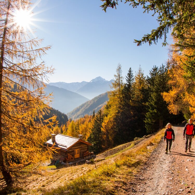 Valfurva Val Zebrù  Trekking Autunno Ph. Giacomo Meneghello (2)