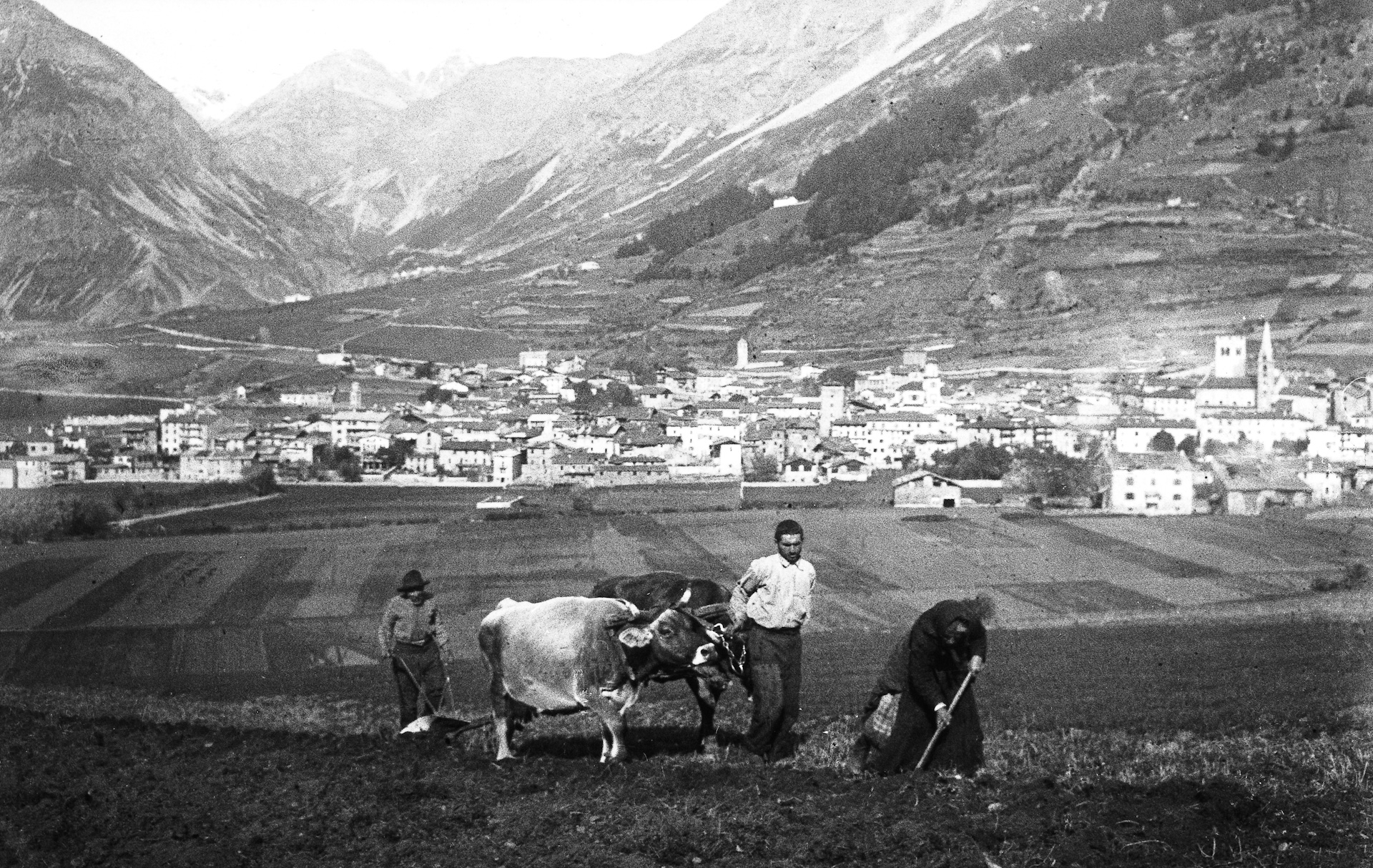 Aratura Campo Bormio Foto Pessina, Museo Di Bormio